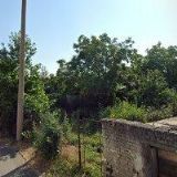 NEŠPOR & RAJSKÝ s.r.o.