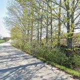 PĚSTITELSKÁ PÁLENICE,LIHOVAR A LIKÉRKA RUDICE