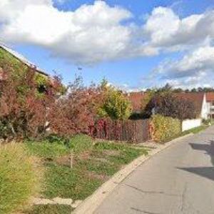 obrazek: avatar OPLUŠTIL JINDŘICH