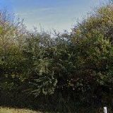 VÍNO MIKULOV, spol. s r.o.