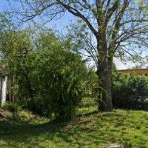 obrazek: avatar WEISS BŘETISLAV Ing.