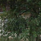 JANÍČEK LEOŠ Ing.-ZAKLÁDÁNÍ A ÚDRŽBA ZELENĚ