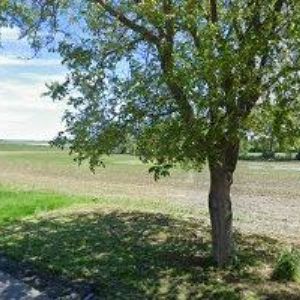 obrazek: avatar LONE-ZEMĚDĚLSKÁ SPOLEČNOST, spol. s r.o.