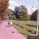 VEŘEJNÁ ZELEŇ MĚSTA BRNA