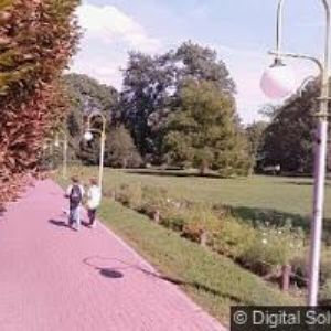 obrazek: avatar VEŘEJNÁ ZELEŇ MĚSTA BRNA