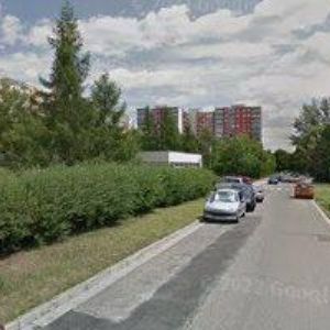 obrazek: avatar ZAHRADY-SKOUPÝ MICHAL