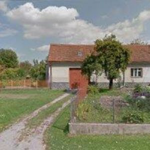 obrazek: avatar ARBOSAFE-RIZIKOVÉ KÁCENÍ STROMŮ