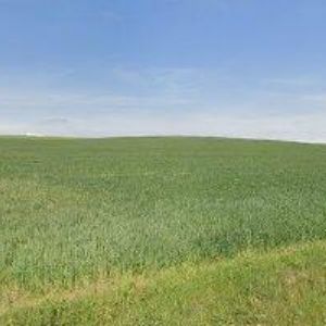 obrazek: avatar ZEMSPOL KUCHAŘOVICE s.r.o.