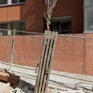 obrazek: avatar VAIDIVINO