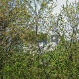 JASO-DISTRIBUTOR, spol. s r.o.