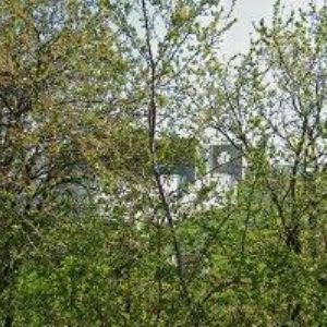 obrazek: avatar JASO-DISTRIBUTOR, spol. s r.o.