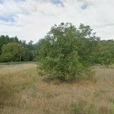 AGROPODNIK HODONÍN a.s.