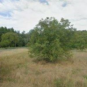 obrazek: avatar AGROPODNIK HODONÍN a.s.