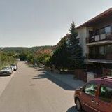 POKORNÝ FRANTIŠEK MVDr.