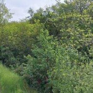 obrazek: avatar STAVECO MORAVA, spol. s r.o.