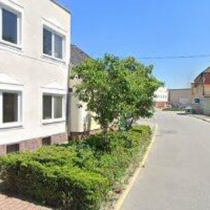 obrazek: avatar ZAHRADNICTVÍ A KVĚTINÁŘSTVÍ GARDENIA