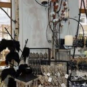 obrazek: avatar KVĚTINÁŘSTVÍ GALERIE BRNO s.r.o.