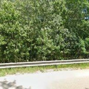 obrazek: avatar AGROLES LESFA