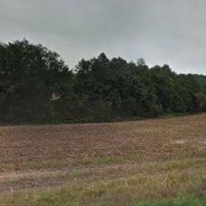 obrazek: avatar PILA RAČICE, spol. s r.o.
