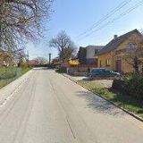 HRUŠKA VLADIMÍR-OKRASNÉ ZAHRADY