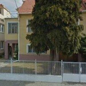 obrazek: avatar PÉČE O STROMY