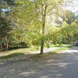 ROUBCOVÁ RADKA Ing.