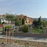 ŘEHOŘKOVÁ PAVLÍNA MVDr.