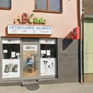 obrazek: avatar ABCLINIC s.r.o.