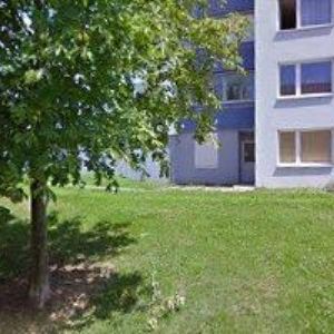 obrazek: avatar VČELMISTR s.r.o.