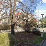 KOUDELOVÁ LUDMILA MVDr.