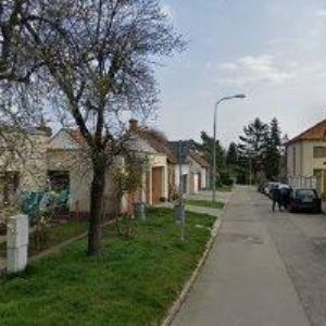 obrazek: avatar MUSIL ALOIS-ZAHRADNICTVÍ