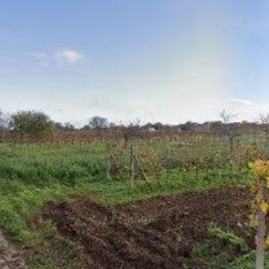 obrazek: avatar JURÁČEK BOHUSLAV