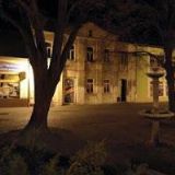 BADINOVÁ VĚRA-KVĚTINY