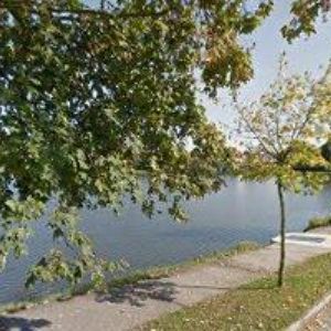 obrazek: avatar ARBO-LES