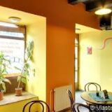 VETERINA NA LIDICKÉ