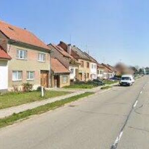 obrazek: avatar KAKTUSY RYŠAVÝ