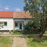 ZACHAROVÁ ALENA-STŘÍHÁNÍ PSŮ