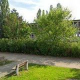 ZD JIŘICE U MIROSLAVI