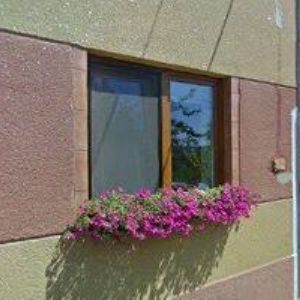 obrazek: avatar DOMOV NA MÍRU