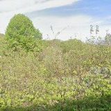 PROCHÁZKA JIŘÍ-TRUHLÁŘSTVÍ