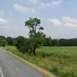 TRUHLÁŘSTVÍ KOŤA