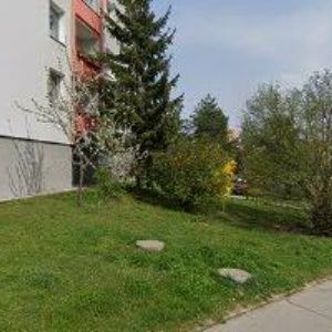 obrazek: avatar RENAT