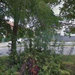 obrazek: avatar DOLEŽAL VLADIMÍR-TRUHLÁŘSTVÍ