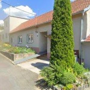 obrazek: avatar JIRGALA ROMAN-DARO