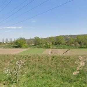 obrazek: avatar CHYTIL KUCHYNĚ