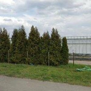 obrazek: avatar NÁBYTEK STANĚK