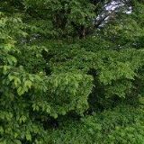 DINA-HITEX, spol. s r.o.