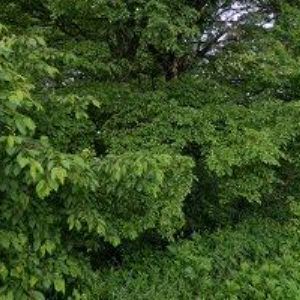 obrazek: avatar DINA-HITEX, spol. s r.o.