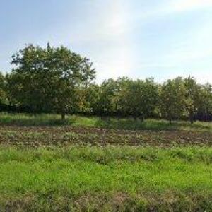 obrazek: avatar TICHÝ JINDŘICH