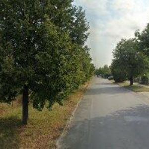 obrazek: avatar WINMONT